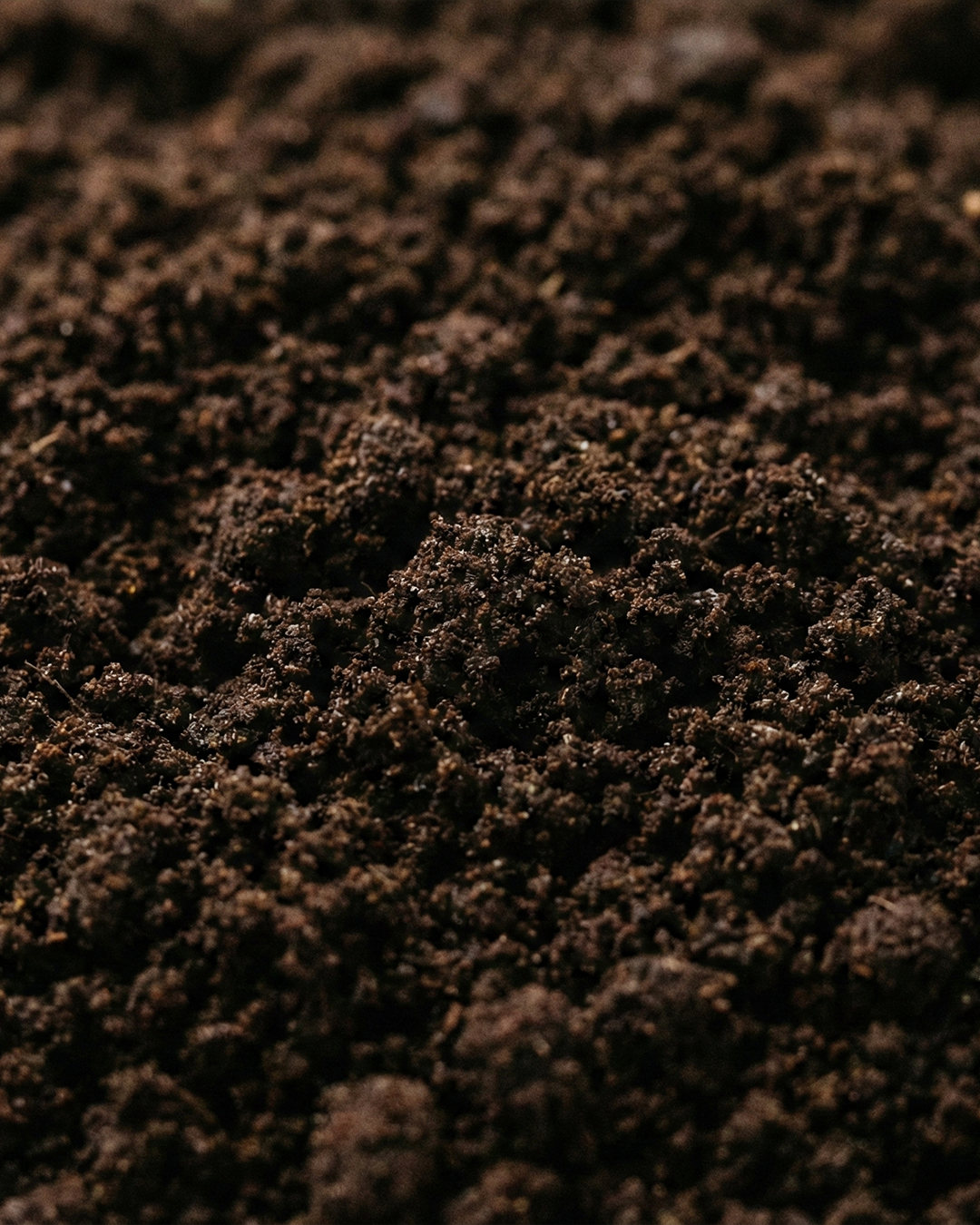 GEME Terra II: Best Composter That Produces Real Compost